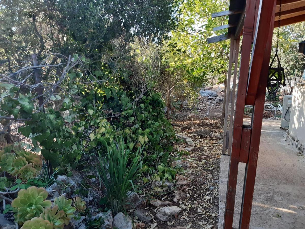 בקתת עץ בחורש במנות - דום גיאודזי - Wooden Cabin In Manot Екстер'єр фото