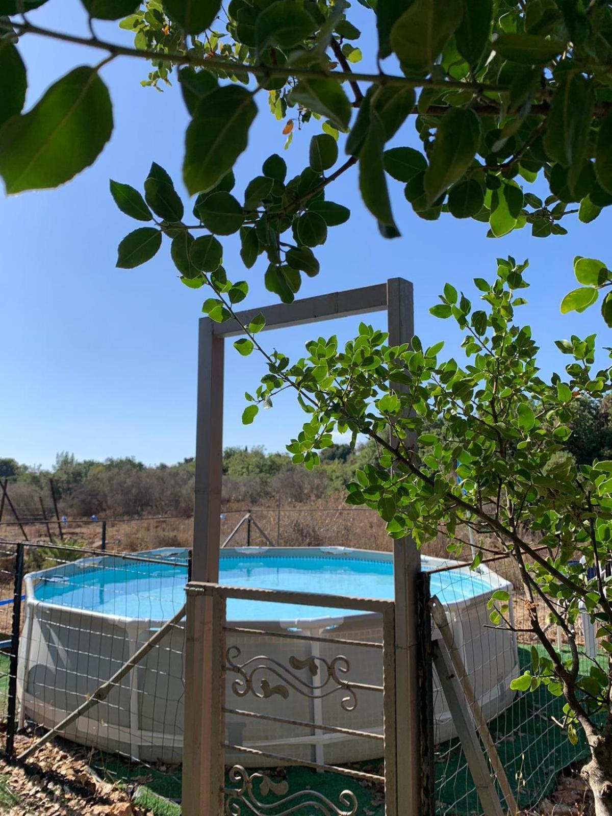 בקתת עץ בחורש במנות - דום גיאודזי - Wooden Cabin In Manot Екстер'єр фото